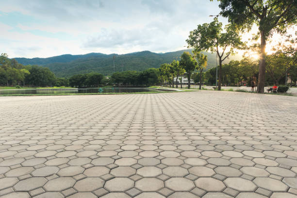 Best Driveway Pavers Near Me  in Collinsvle, IL